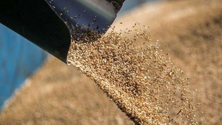 حمایت تعرفه ای از واردکنندگان مانع بروز مشکل در تامین کالاهای اساسی می شود